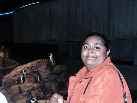 #FriFotos – #Chill – Chillin’ in fun places #Chillin' with some #Chill penguins at the Boston Aquarium