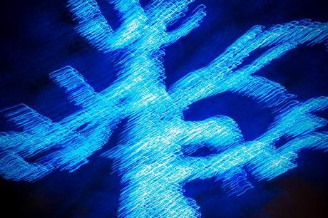 Photo Fun with Christmas Lights Ghostly blue tree trunk