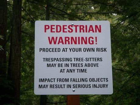 Beware of Tree Huggers
