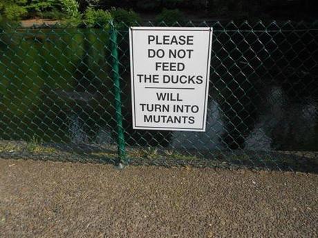Mutant Ducks Warning