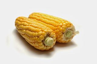 Introductions to Allergies Introductions to Allergies