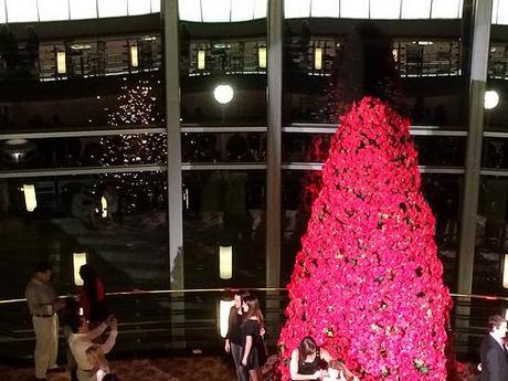 the rockettes Untitled