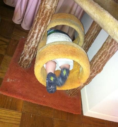 CAT Captionpalooza 2011: (final) photo 9