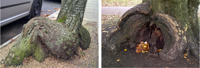 Stumped in North London