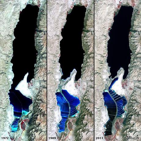 Dead Sea 1972, 1989, 2011