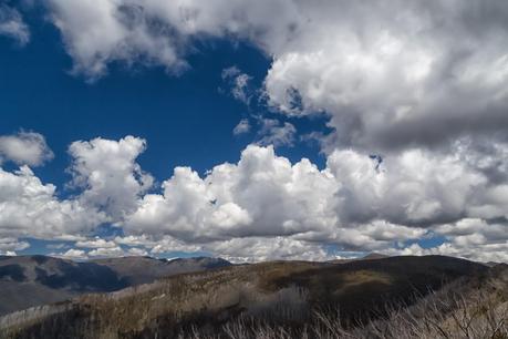 blue skies and white clouds over alpine national park