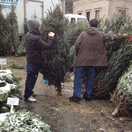 Winter Approaches Winter Approaches