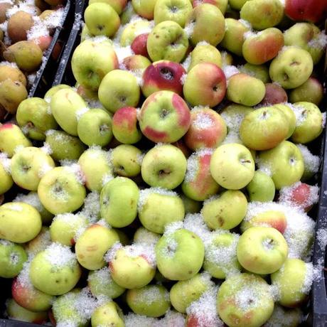 Winter Approaches Winter Approaches