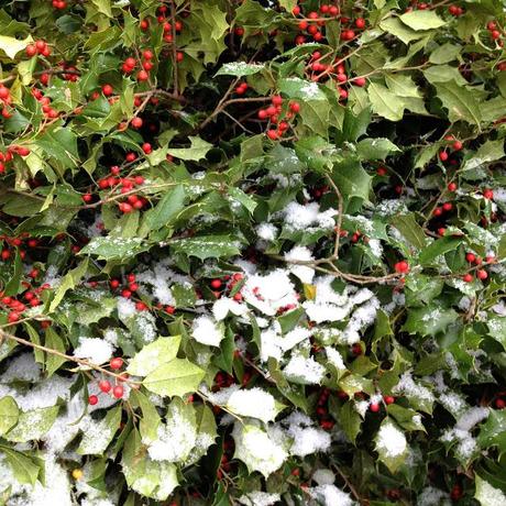 Winter Approaches Winter Approaches