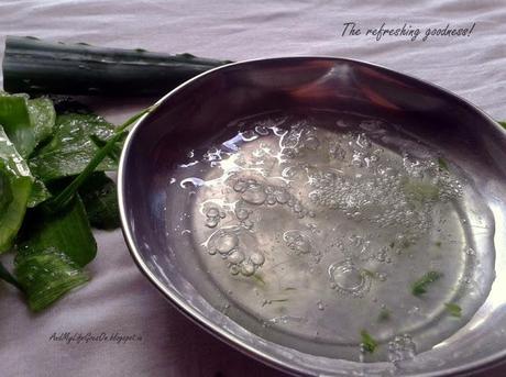 Aloe Vera - Coconut Oil Hair Mask with Step-by-Step Pictures