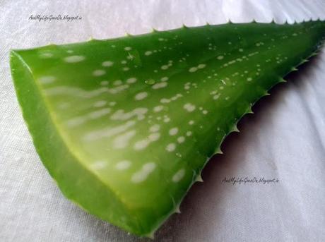 Aloe Vera - Coconut Oil Hair Mask with Step-by-Step Pictures