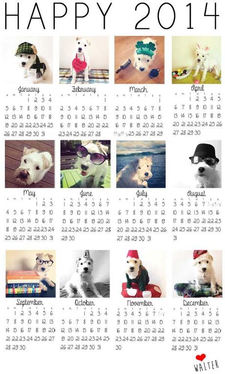 2014 Calendar featuring Walter the Jack Russell Terrier.