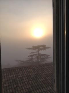 Sarah Posner in Al Jazeera America: Sarah Posner in Al Jazeera America: