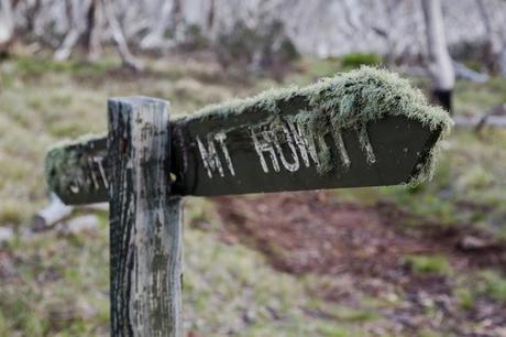 moss covered mount howitt sign