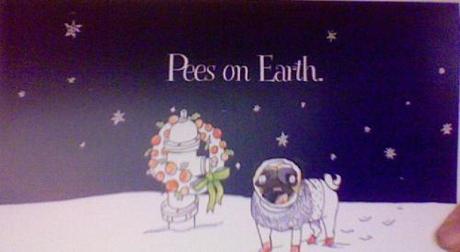 Happy Merry HO HO HO Photo on 2013-12-16 at 11.30