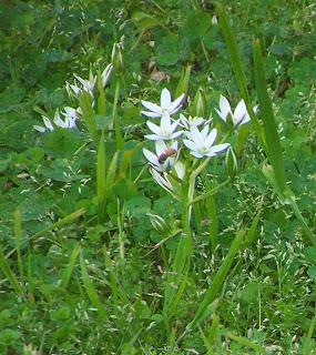 Looking backward to mark forward progress Looking backward to mark forward progress