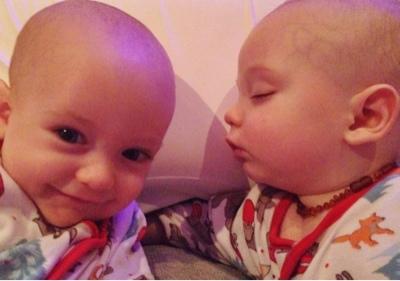 2013's New Additions - 365/365 2013's New Additions - 365/365