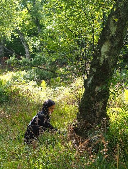 Adiós, 2013! Adiós, 2013!