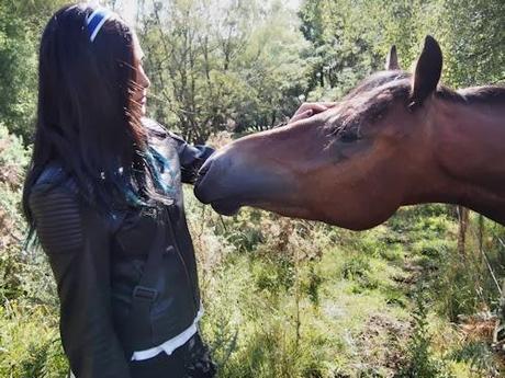 Adiós, 2013! Adiós, 2013!