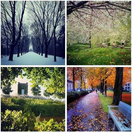 Adiós, 2013! Adiós, 2013!