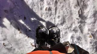 A new year A new year