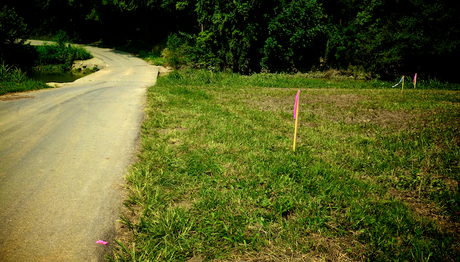 Bluegrass Uprising: Pipeline Resistance in Kentucky 1453443_535111249912315_416382688_n
