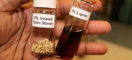 New Lignin Removal Method Makes Biofuel Production Cheaper The new process dissolves lignin into the PIL, leaving cellulose behind as a solid.