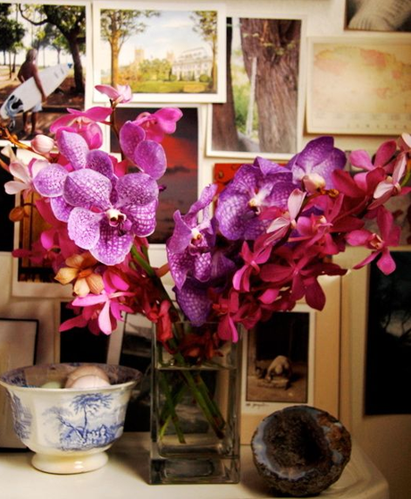 Radiant Orchid à la Iris Radiant Orchid