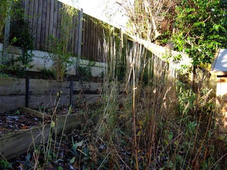My garden this weekend – 11th January 2014 2014_01110005