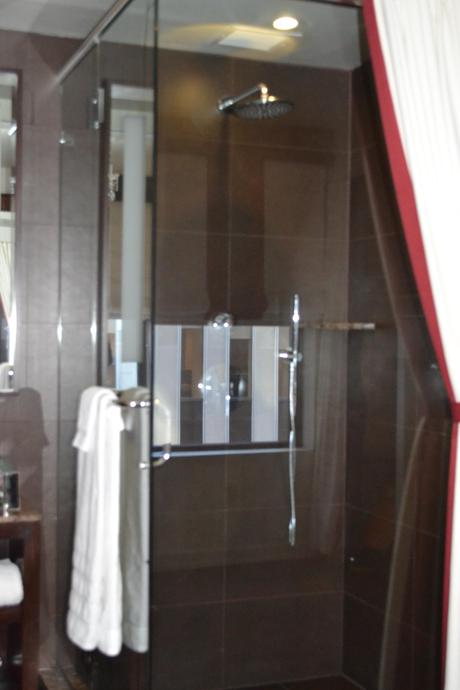 Sanctuary Hotel, St. Patricks Cathedral & The Museum of Sex The Glass Shower