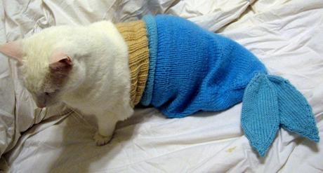 The World’s Top 10 Best Images of What a Catfish Should Look Like What a Catfish should really look like