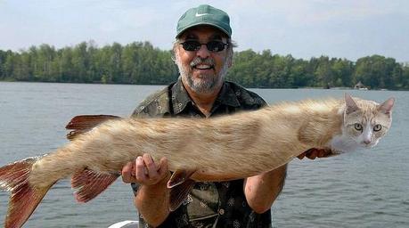 The World’s Top 10 Best Images of What a Catfish Should Look Like What a Catfish should really look like
