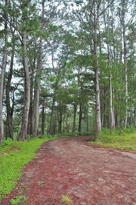 Sagada: A Hidden Shangri-La Sagada: A Hidden Shangri-La