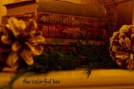 A Winter Mantel and an Online Class in Photography mantel decorated with antique books