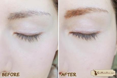 Etude House Color My Brows #2 Light Brown Review