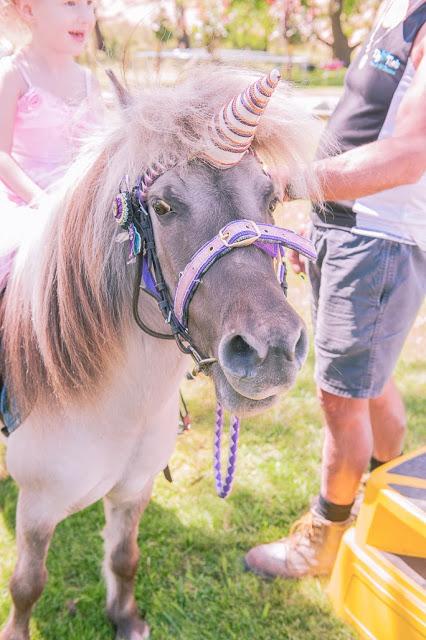 An Amazing Unicorn Garden Party by Lilian from Oliver's Alma Cottage An Amazing Unicorn Garden Party by Lilian from Oliver's Alma Cottage