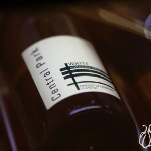 Central Park: Where One Surprise Meets Another Central_Park_Blueberry_Square_Dbayeh002