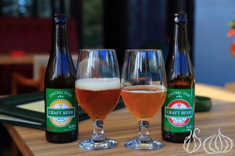 Central Park: Where One Surprise Meets Another Central_Park_Blueberry_Square_Dbayeh050