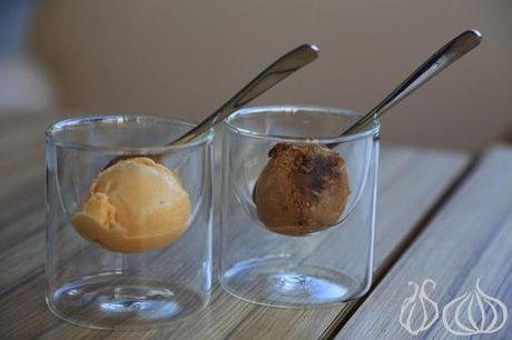 Central Park: Where One Surprise Meets Another Central_Park_Blueberry_Square_Dbayeh076