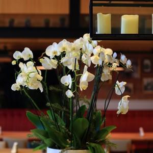 Central Park: Where One Surprise Meets Another Central_Park_Blueberry_Square_Dbayeh007