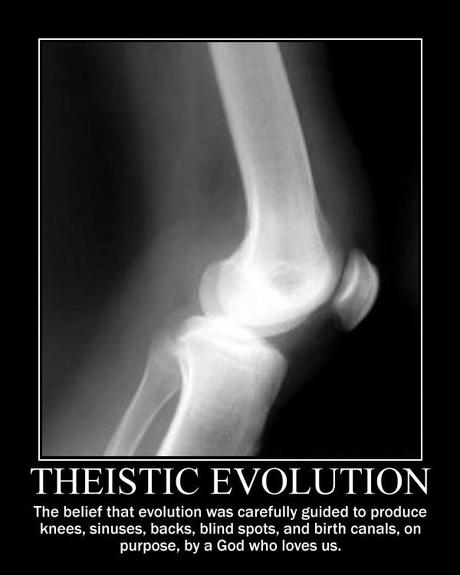 Theistic-Evolution