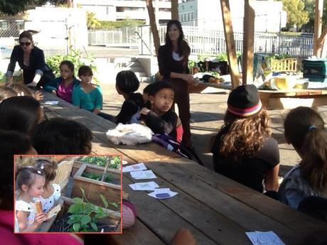 Fresh-from-the-Garden Cabbage Slaw Nutrition in the Gardenwinset