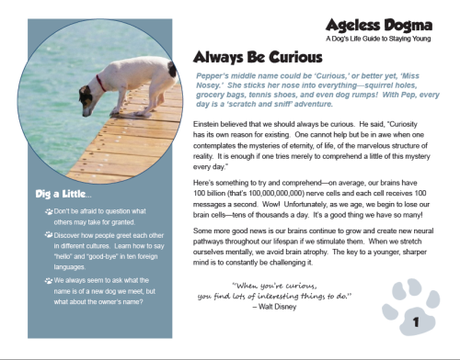 Ageless Dogma Screen shot 2014-01-08 at 12.37.53 PM