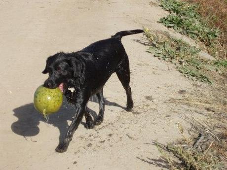 Ageless Dogma OLYMPUS DIGITAL CAMERA