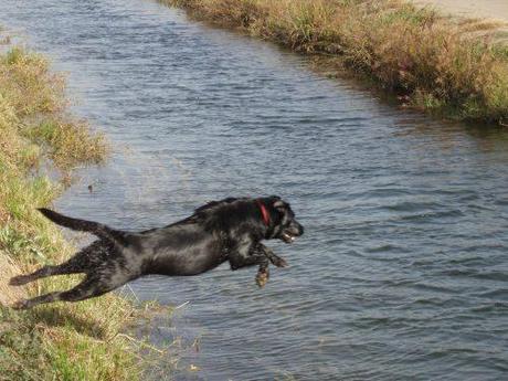 Ageless Dogma OLYMPUS DIGITAL CAMERA