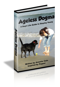 Ageless Dogma 3Dbook-209x300