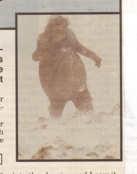 Bigfoot News January 21, 2014 Second photo purportedly from the Moyie Springs series.