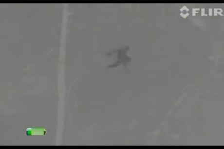 Bigfoot News January 21, 2014 Stacy Brown Bigfoot footage.