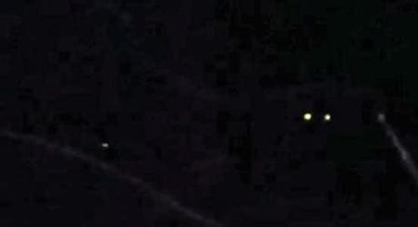 Bigfoot News January 21, 2014 Bigfoot eyeshine photo.