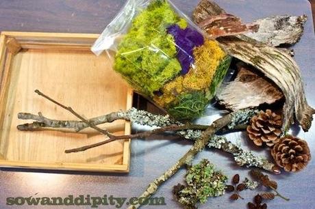 woodland materials for moss art